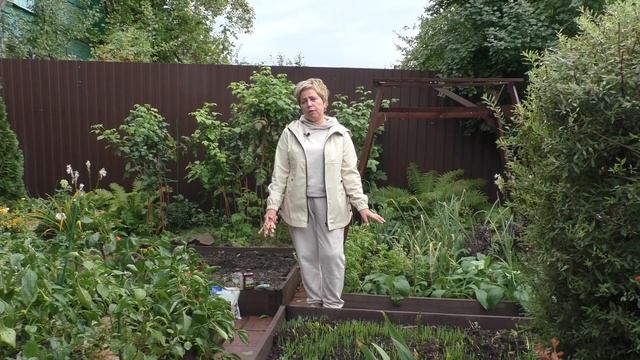 ОВОЩНЫЕ ГРЯДКИ ОСЕНЬЮ: БОЛЬШАЯ ПАМЯТКА!