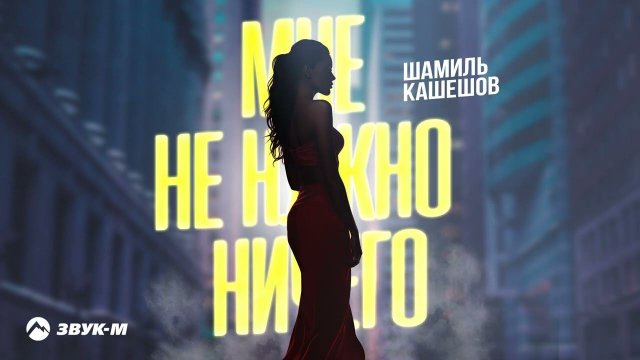 Шамиль Кашешов - Мне не нужно ничего | Премьера трека 2024
