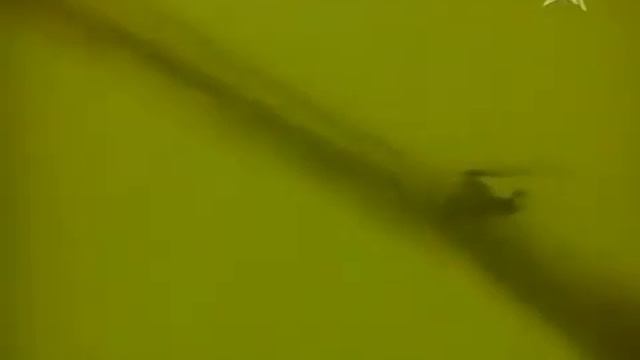 Трофим - "Алёшка". Автор музыки и текста - Трофим (Трофимов С.В.)