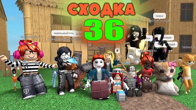 Сходка - №36 с подписчиками!