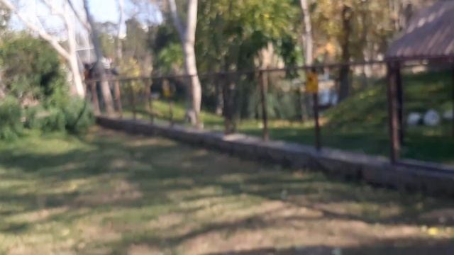 ЗООПАРК В БАКУ С МУРАДОМ - Bakı Zooloji Parkı