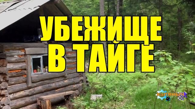 0861 - БИЧИ В СИБИРИ _ ЗАБРОШЕННАЯ ДЕРЕВНЯ _ СУДЬБА ЧЕЛОВЕКА _ ЖИЗНЬ В ТАЙГЕ.mp4