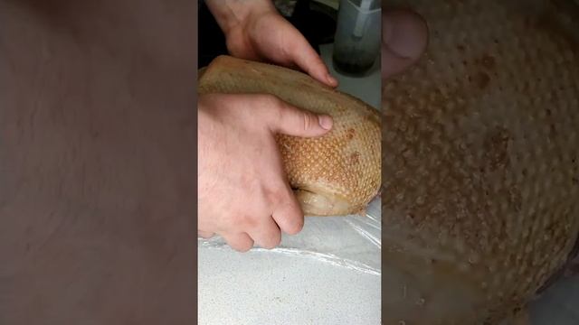 ГУСЬ горячего копчения. Варено-копченый гусь.