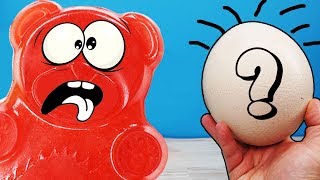 КАК ОТОБРАТЬ У СТРАУСА ЯЙЦО ДЛЯ ЖЕЛЕЙНОГО МЕДВЕДЯ ВАЛЕРЫКАК ОТОБРАТЬ У СТРАУСА ЯЙЦО ДЛЯ ЖЕЛЕЙНОГО МЕ