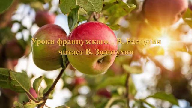 "Уроки французского" Валентин Распутин. Читает Валерий Золотухин