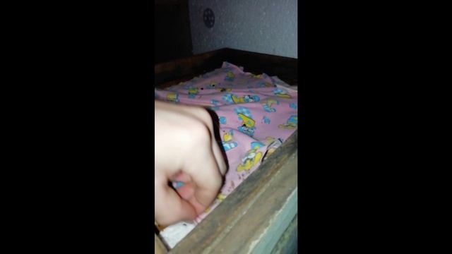 Зимовка Среднерусской пчелы. Начинающий пчеловод.