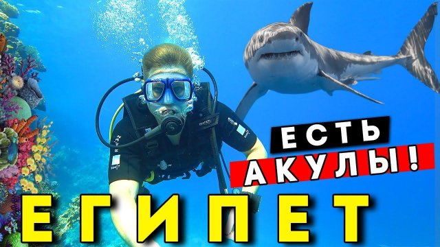Встретил АКУЛУ в Египте 2021! ОПАСНЫЙ отдых? Дайвинг в Шарм эль Шейхе, Рас Мохаммед