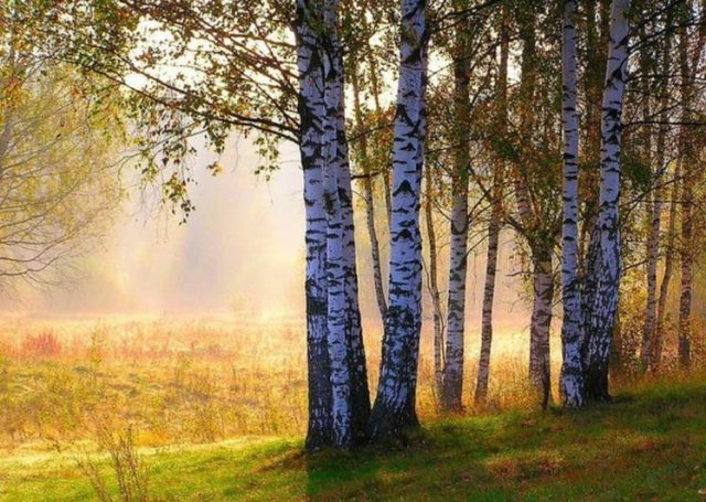 Знания