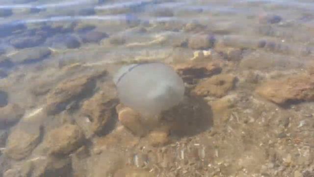 Новопетровка / Бердянск / Прогулка вдоль моря 11 сентября 2020