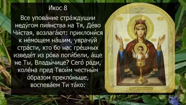 Акафист молитва Неупиваемой Чаше