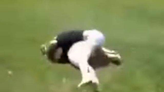 Женские драки! Делят объездную дорогу! Жми !