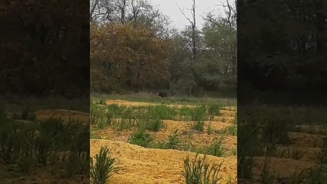 77226891_144621576812344_7598589791190219285_n