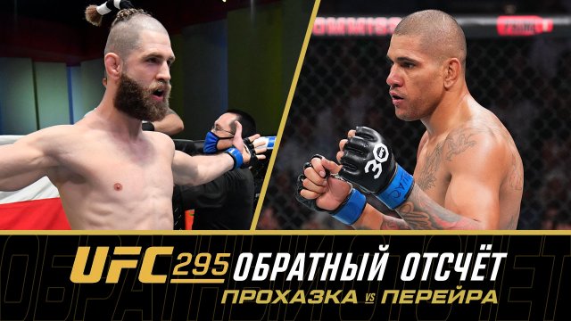 UFC 295: Обратный отсчет - Прохазка vs Перейра