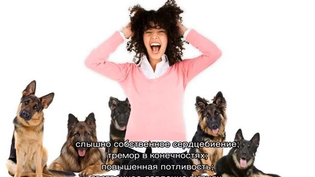 Боязнь собак: как называется эта фобия, как избавиться от страха