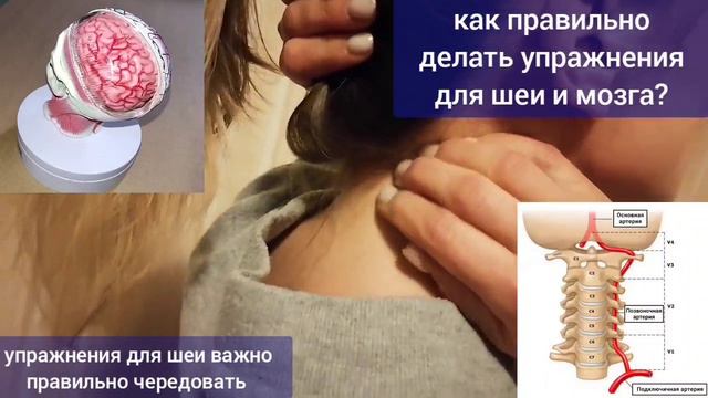 обзор курса Укрепление шейного отдела позвоночника