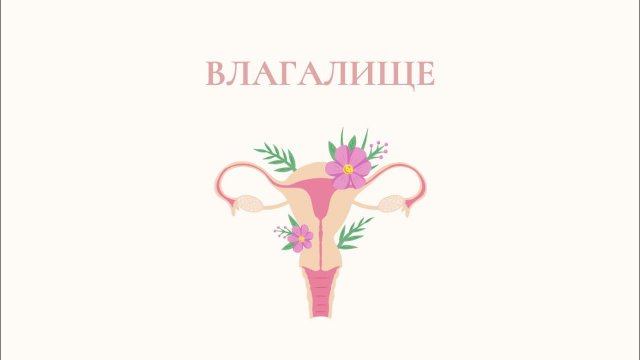 Влагалище - как оно устроено и что важно помнить?