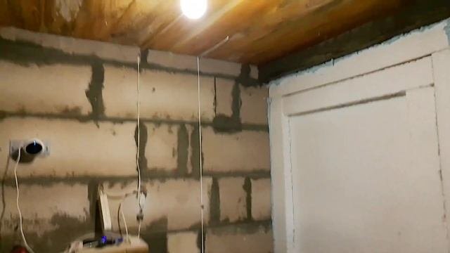 Свет в курятнике зимой для яйценоскости.