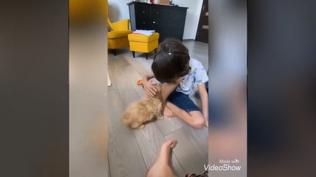 video_o1xfExX