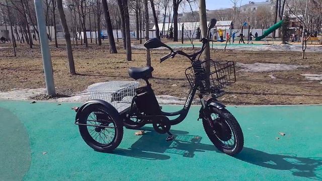 ГРУЗОВОЙ + ПОВЫШЕННОЙ ПРОХОДИМОСТИ | Обзор трехколесного электровелосипеда Eltreco PORTER FAT 500