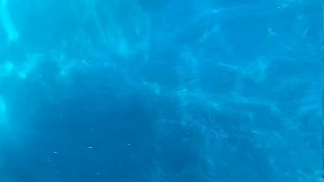 Цвет морской волны