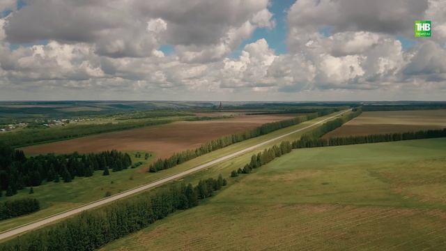 Алмаш - 2 серия