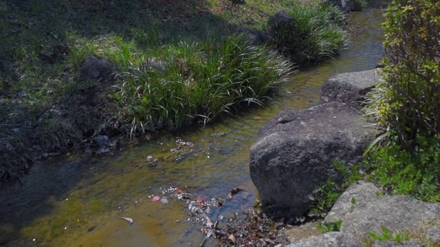 Музыка для успокоения нервной системы, глубокий релакс #156