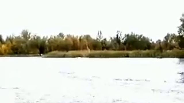 Катер SAVA Viking 420 Compact