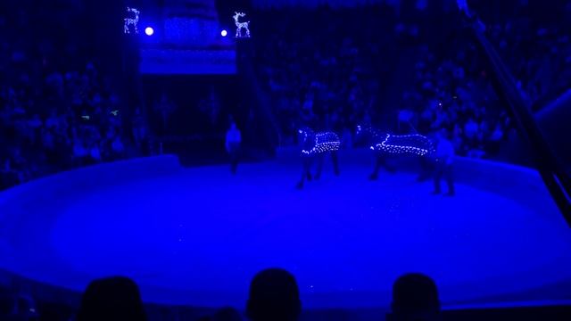 Цирк. Новогоднее представление