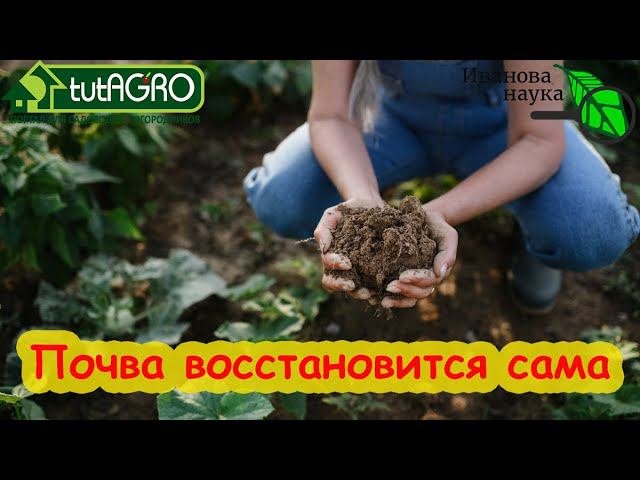 ВОССТАНОВЛЕНИЕ ПОЧВЫ ЗА 1 СЕЗОН. Плодородие восстановится само по этой схеме.