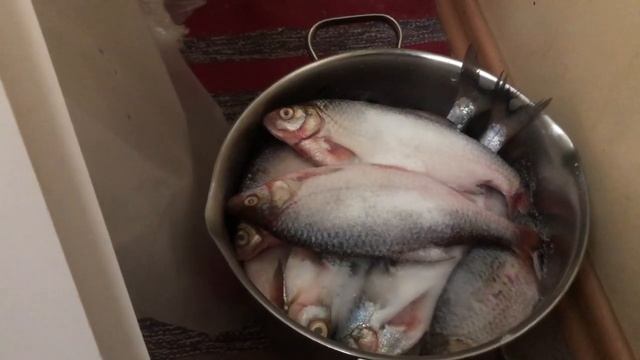 Как сушить рыбу.