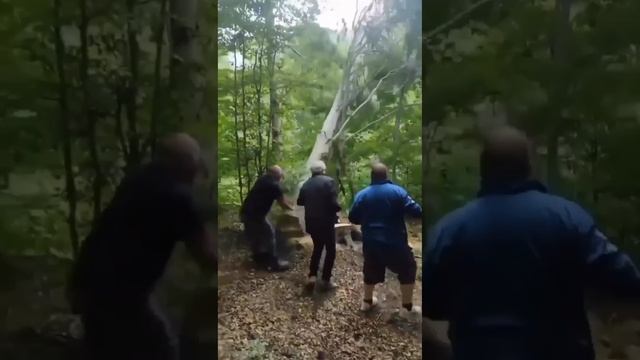 качели