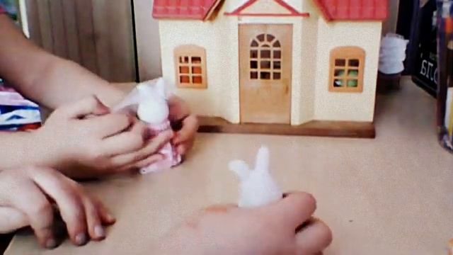 Сельвания фемелис серия1