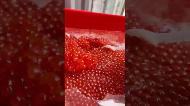 video5195457298989853130