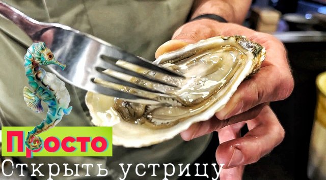 Как открыть устрицу
