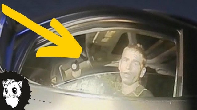 ЖИЗНЬ ПОЛИЦЕЙСКОГО ИЗМЕНИЛАСЬ НАВСЕГДА, КОГДА ВОДИТЕЛЬ ОПУСТИЛ СТЕКЛО [Белый кот]