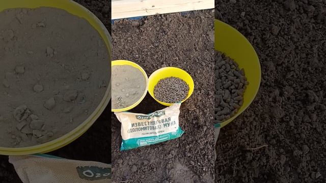 Как я использую гранулированный конский навоз осенью!