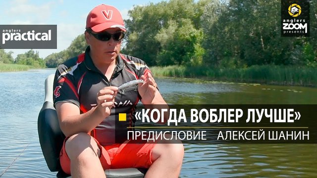 'Когда воблер лучше.' Предисловие. Алексей Шанин