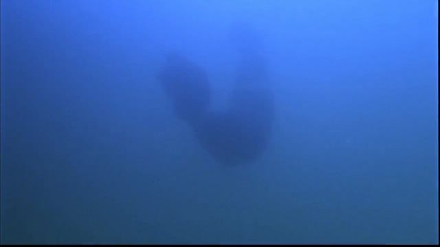 ПЕРЕСКАЗ _ДЕКСТЕР_ (1 СЕЗОН) ЗА 18 МИНУТ