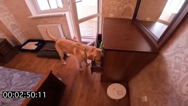 Дени и Мэни играют в прятки ?