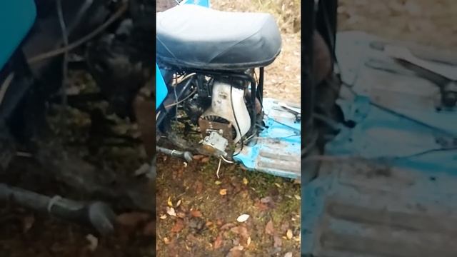 Магнето на муравей, как установил