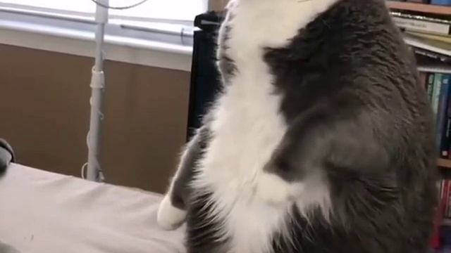 VID_41661023_140611_712