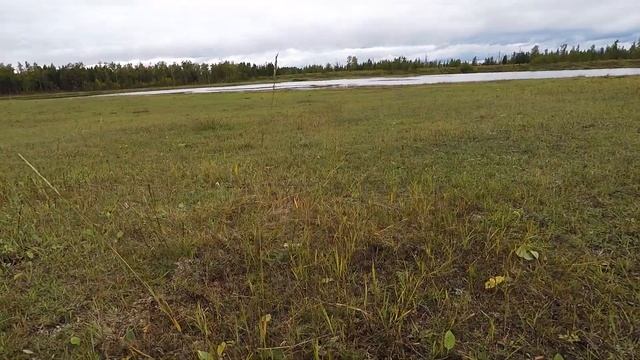 Осенняя охота на утку с подхода в Якутии 2022