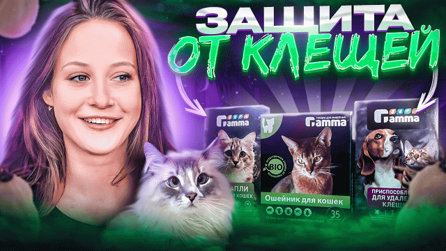 Как защитить питомца от клещей и наружных паразитов?