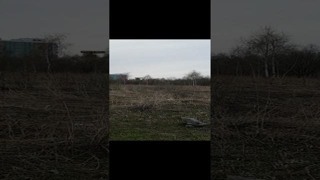 230412 Силикатный пруд Северный район рекреационный ресурс место отдых жители природ пляж город Орел