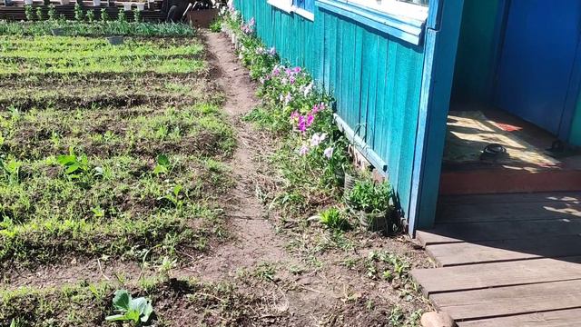 Простые радости деревни.237 серия.