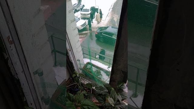 27 ноября 2023 г.