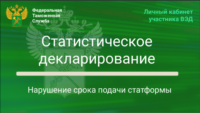 Нарушение срока подачи статформы