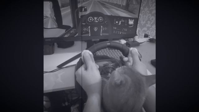 мои котики.mp4