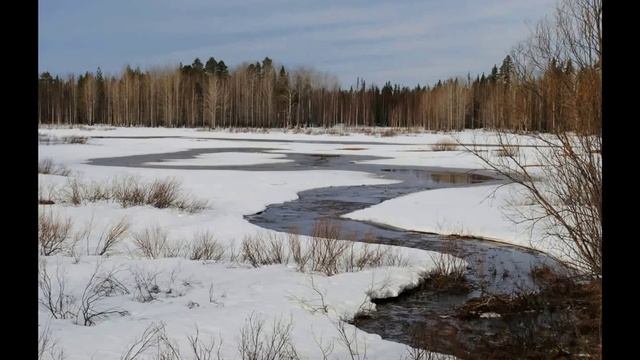 весна 2017 г.Начало мая..