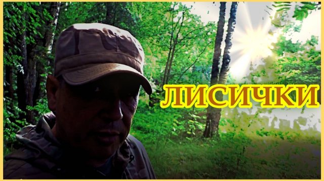 за грибами III